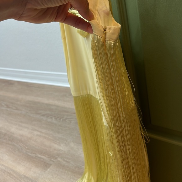 Zara fringed dress - Picture 5 of 6